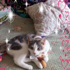 Meet your Posher, Amanda